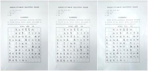 5.《宪法宣誓誓词》书法竞赛一等奖获奖作品