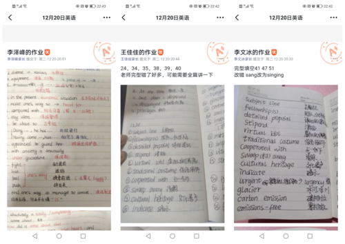 学生在钉钉作业本与老师互动